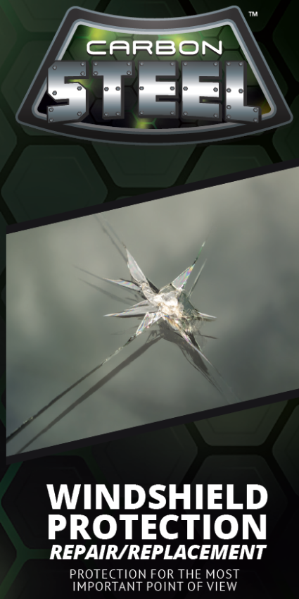 Windshield Protection